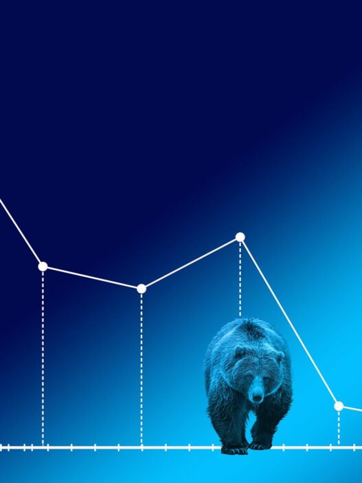 Bear Market