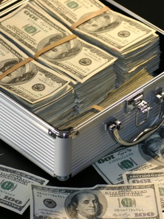 tips become multi millionaire