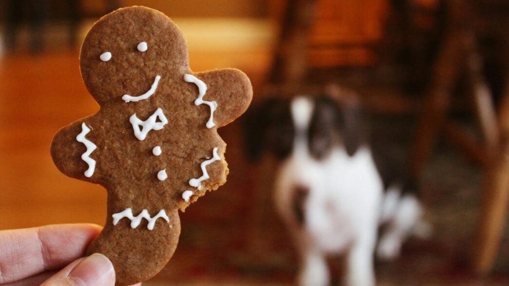 A gingerbread cookie held in focus with a blurred dog in the background.