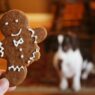 A gingerbread cookie held in focus with a blurred dog in the background.