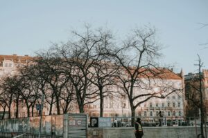 Person making a contactless debit card payment at a store
