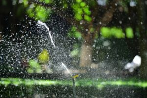 A sprinkler watering a green lawn in summer, illustrating how to lower your summer water bill
