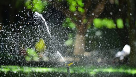 A sprinkler watering a green lawn in summer, illustrating how to lower your summer water bill