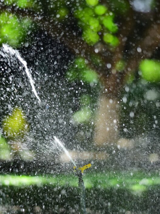 A sprinkler watering a green lawn in summer, illustrating how to lower your summer water bill