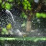 A sprinkler watering a green lawn in summer, illustrating how to lower your summer water bill