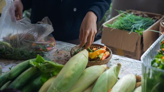 Fresh seasonal produce displayed at a farmers market stall