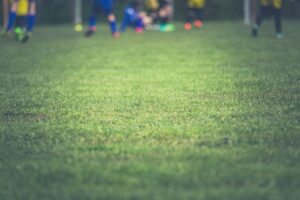 Children playing youth soccer on a grass field