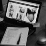 A person searching a health plan directory on a laptop, illustrating provider network directory accuracy
