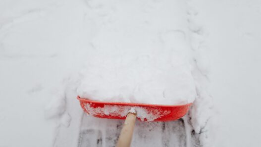 Snow-covered residential driveway after a winter storm, illustrating snow removal cost decisions